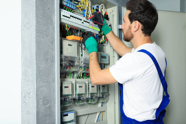 Best Licensed Electrician  in Remerton, GA