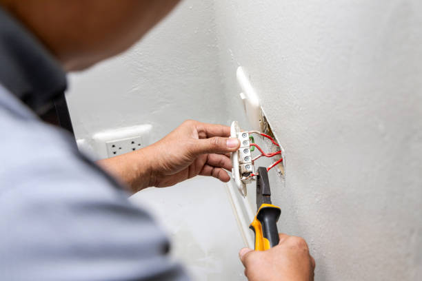 Best Electrical System Inspection  in Remerton, GA